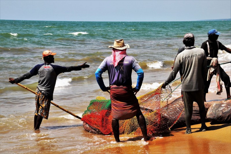 tourhub | Tweet World Travel | Pearl Of Sri Lanka Tour 