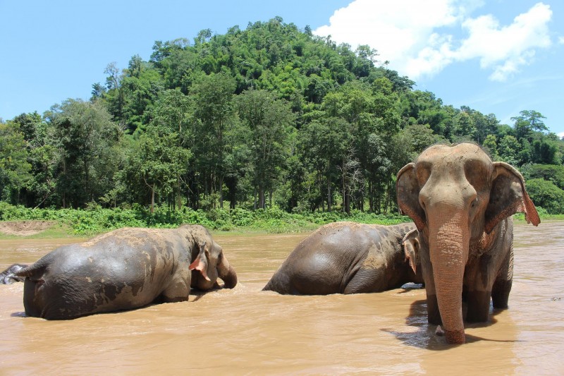 tourhub | Tweet World Travel | HERITAGE OF THAILAND TOUR 