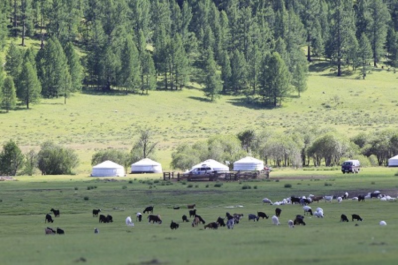 tourhub | Tweet World Travel | 12-Day Best Of Mongolia Luxury Tour 