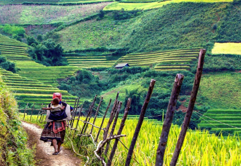 tourhub | Tweet World Travel | 11- Day Essential Northern Vietnam Tour 