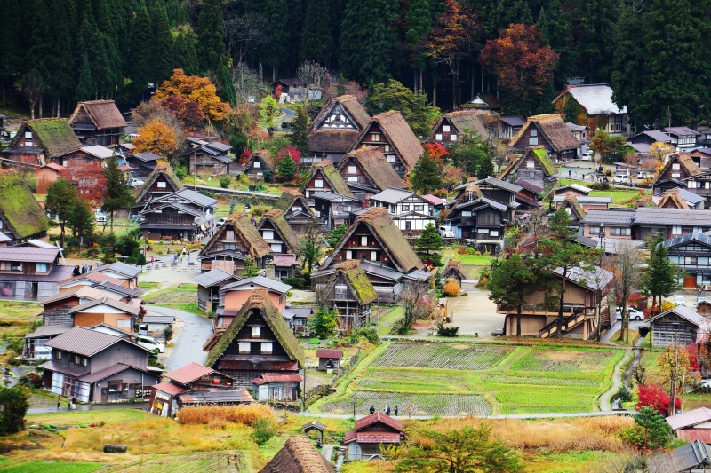 tourhub | Tweet World Travel | Japan In-Depth Cherry Blossom Tour 