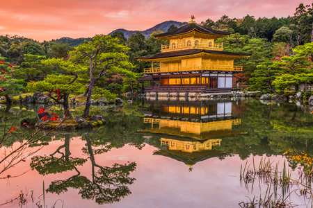 tourhub | Tweet World Travel | Japan Family tour 