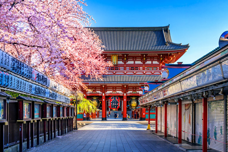 tourhub | Tweet World Travel | Japan Family Tour 